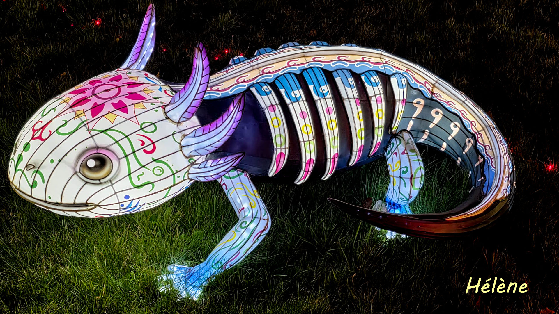 THOIRY -Illumination ,  Lumières sauvages 2025-2026